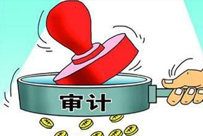专项审计